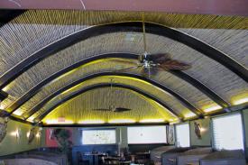 Ceiling Decor at www.thebigbamboocompany.com. Click to enlarge