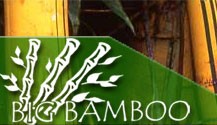 Welcome to the Big Bamboo Company at http://www.thebigbamboocompany.com